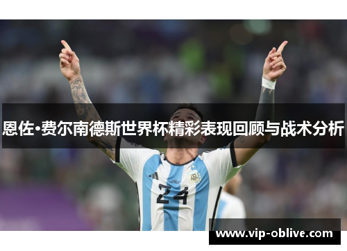 恩佐·费尔南德斯世界杯精彩表现回顾与战术分析