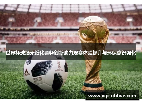 世界杯球场无纸化票务创新助力观赛体验提升与环保意识强化