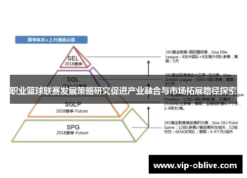 职业篮球联赛发展策略研究促进产业融合与市场拓展路径探索