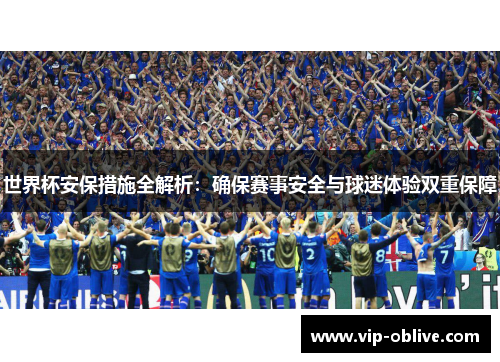 世界杯安保措施全解析：确保赛事安全与球迷体验双重保障