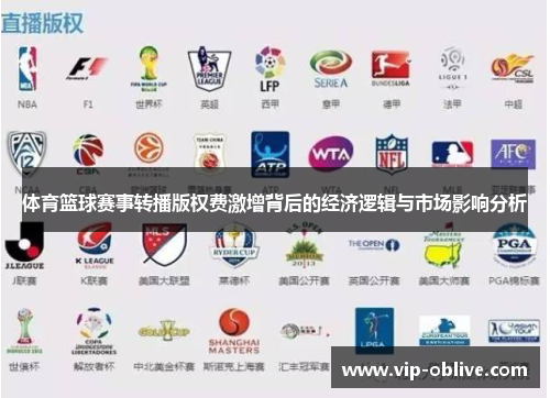 体育篮球赛事转播版权费激增背后的经济逻辑与市场影响分析