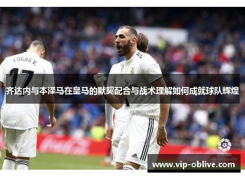 齐达内与本泽马在皇马的默契配合与战术理解如何成就球队辉煌