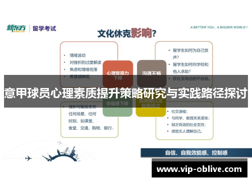 意甲球员心理素质提升策略研究与实践路径探讨