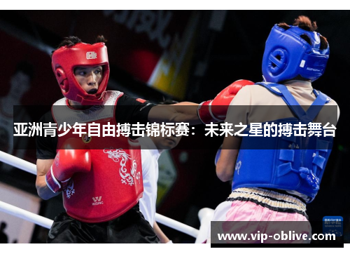 亚洲青少年自由搏击锦标赛：未来之星的搏击舞台