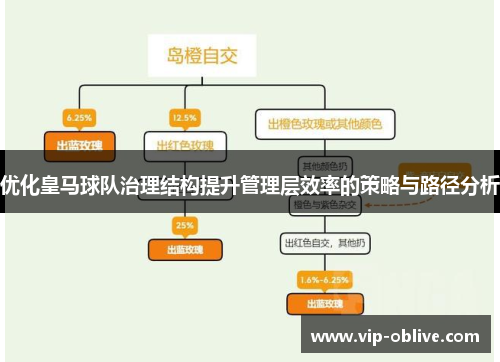 优化皇马球队治理结构提升管理层效率的策略与路径分析