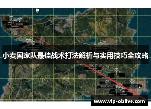 小麦国家队最佳战术打法解析与实用技巧全攻略