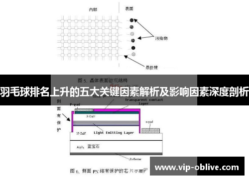 羽毛球排名上升的五大关键因素解析及影响因素深度剖析