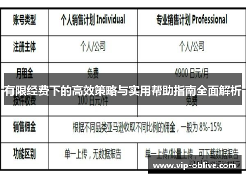 有限经费下的高效策略与实用帮助指南全面解析