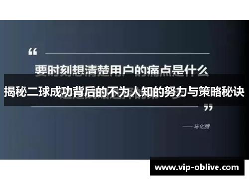 揭秘二球成功背后的不为人知的努力与策略秘诀