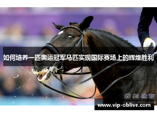 如何培养一匹奥运冠军马匹实现国际赛场上的辉煌胜利