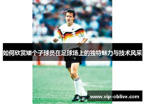 如何欣赏矮个子球员在足球场上的独特魅力与技术风采