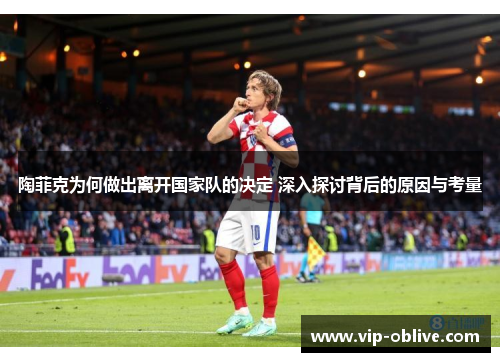 陶菲克为何做出离开国家队的决定 深入探讨背后的原因与考量