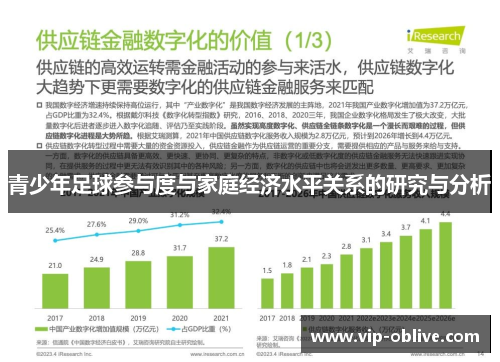 青少年足球参与度与家庭经济水平关系的研究与分析